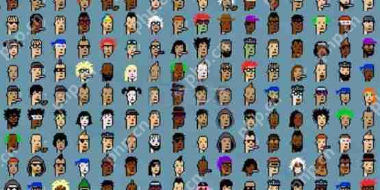 node基金会收购yuga labs旗下nft cryptopunks:将延续赛博朋克精神导读